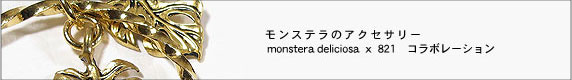 ��󥹥ƥ�Υ��������꡼��monstera deliciosa �� 821������ܥ졼�����